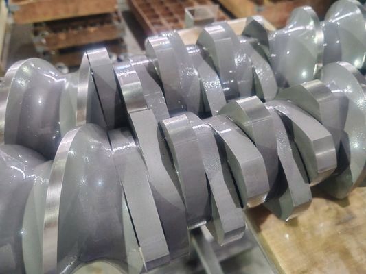 Berstoff Twin Screw Extruder Винтовые сегменты и бочки