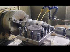 Berstoff Twin Screw Extruder Винтовые сегменты и бочки